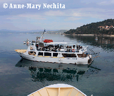 © Anne-Mary Nechita